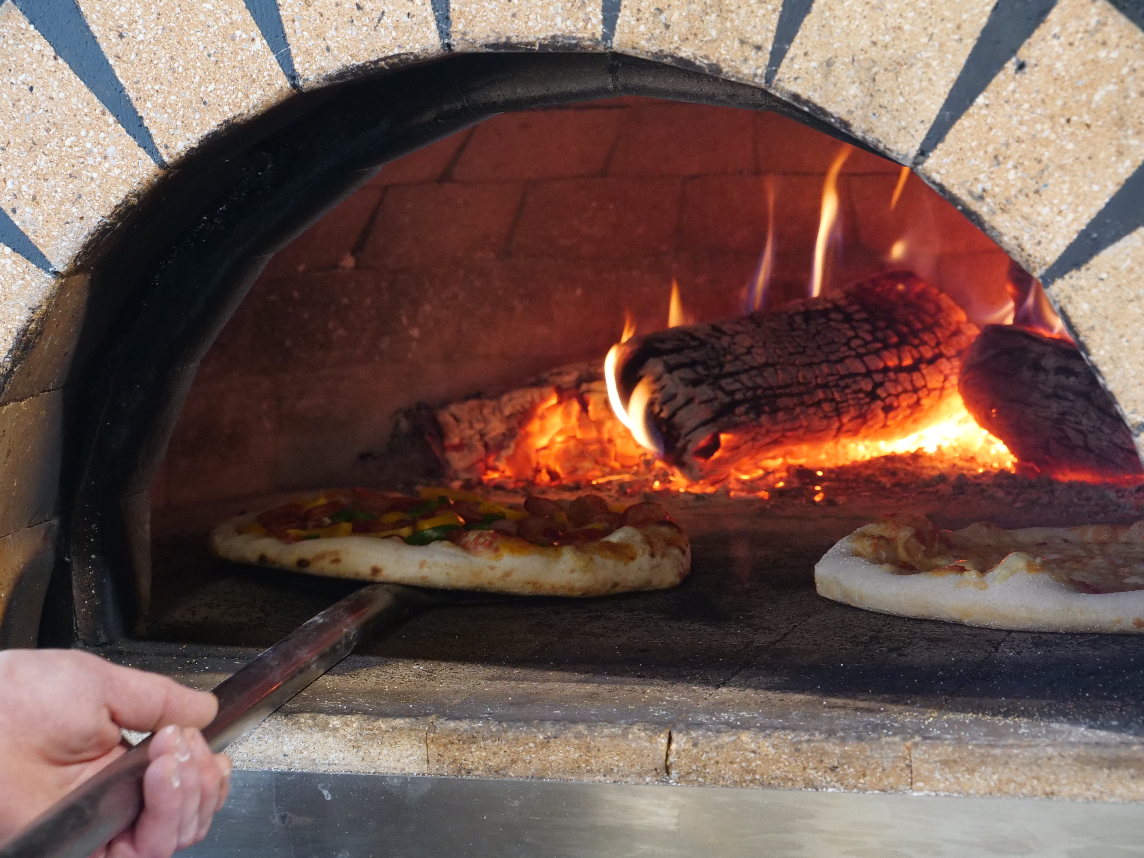 Wood fired oven
