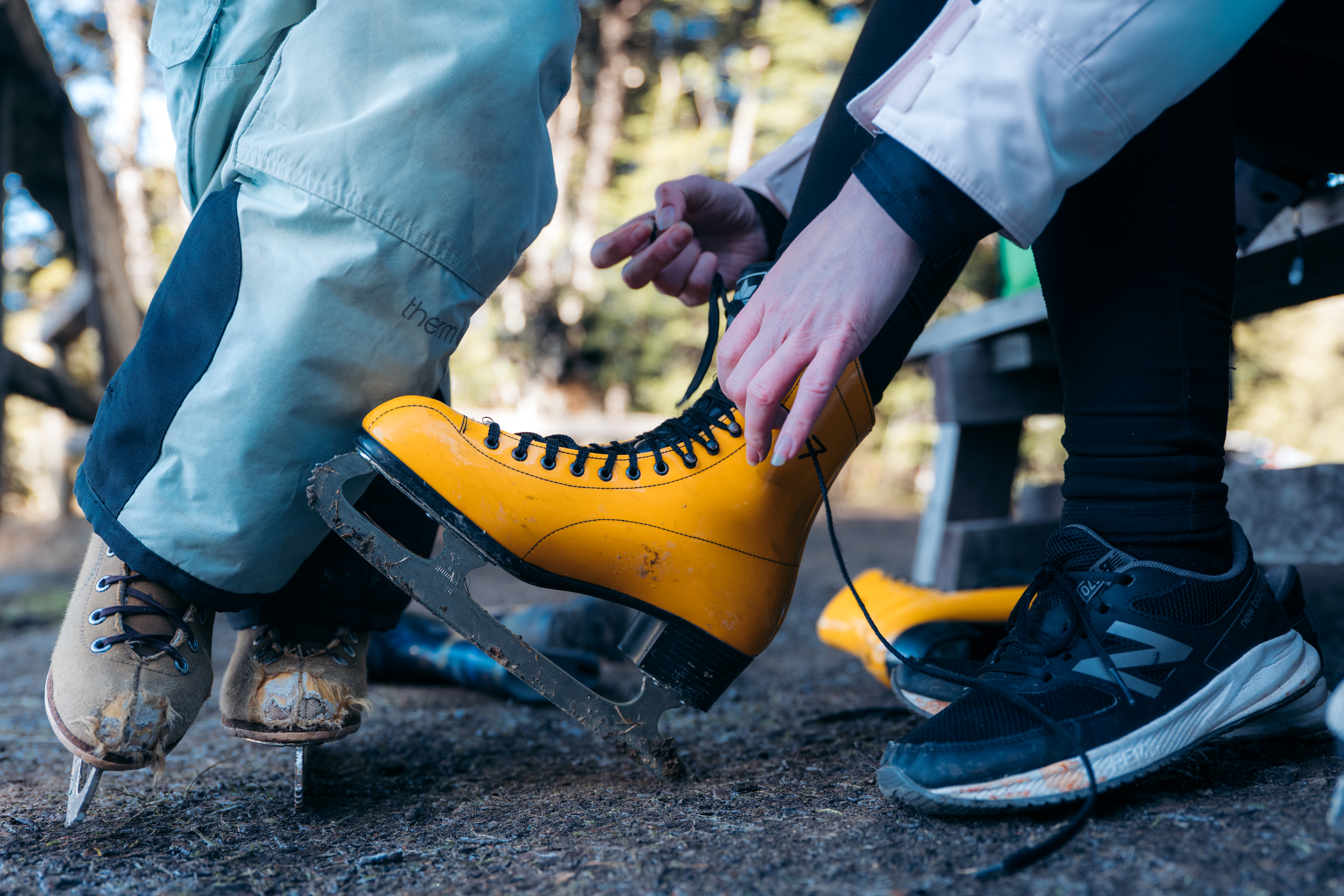 Forest Lodge ice skates