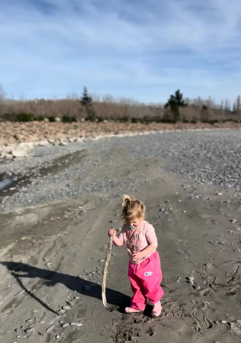 selwyn family walks the willows