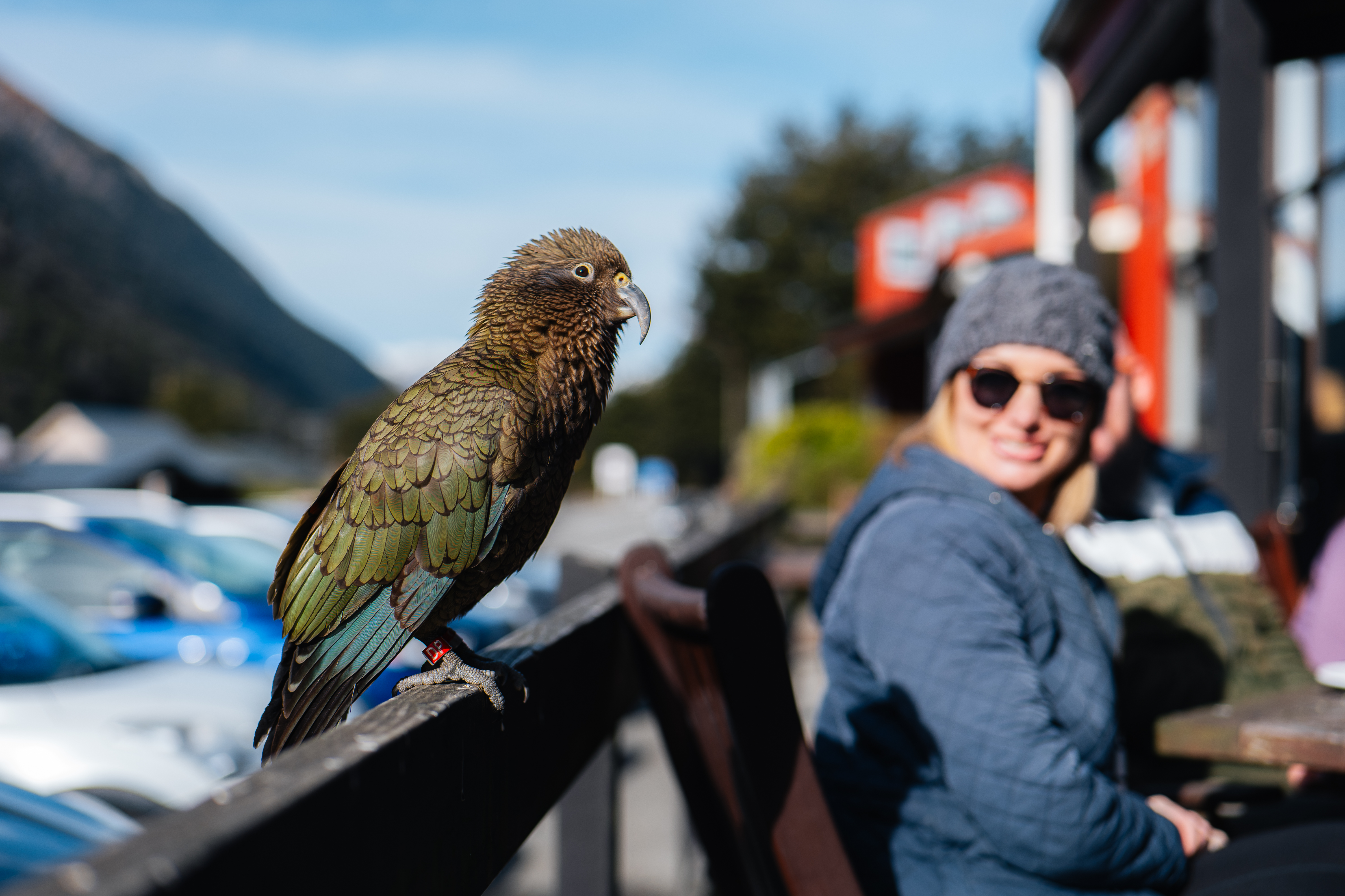 Arthurs pass