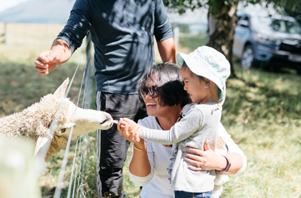 Family Adventure Getaway for Four